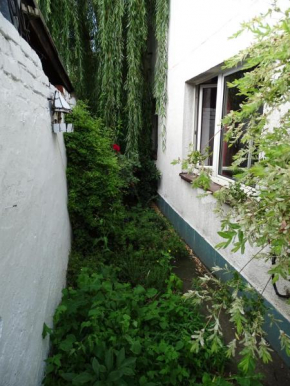 Mur 4 - Apartament z ogródkiem.